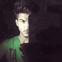 محمد حسين الوليدى