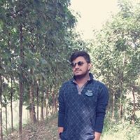 Nilanjan Shee