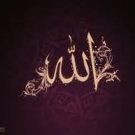 Mohamed Mostafa Shaaban