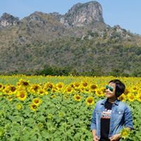 ไกลสุดสายตา ขอบฟ้ากว้างไกล