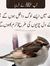 Umme Aa...