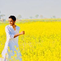 Meer Faraz