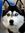 Gary Blake | -2 comments
