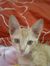 Preethi...
