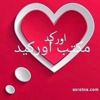 اوركيد اوركيد.