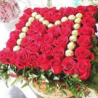 محمود محمود