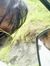 Mohamma...