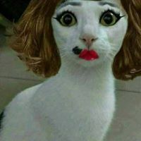 Themomentyoureadmy Longname