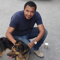 أحمد سليمان