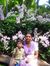 Sudha A...