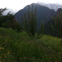 Биниямин Якубов