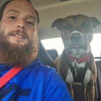 Dylan Bauman Carpenter