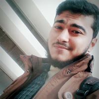 محمد أبو العنين