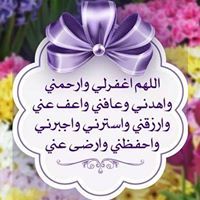 صفاء محى الدين