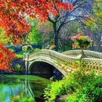 رياض المعرفة