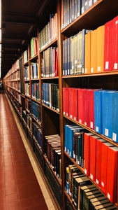 Heather Laviola Freda