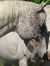 Marilyn...