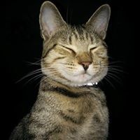 Jean-Benoit Latulippe