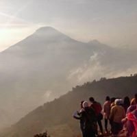 Pheri Ibnu