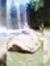 Anaan S...