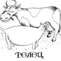 Полина Дмитриева