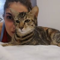 Христина Метларова