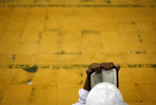 ولاء عبد العال