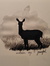 Ohdeergrrl