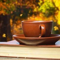 مصعب الشامي