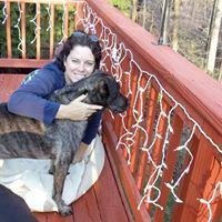 Tracey Freeman Beaver