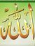 أحمد أب...