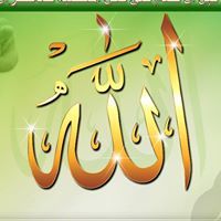 أحمد أبو دان