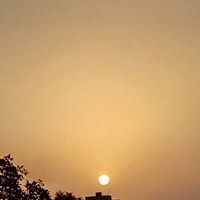 Divya Biswas
