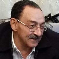 Toqa Samy