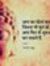 Nilesh ...