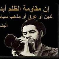 نسائم الأقحوان