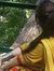 Aneela ...
