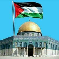 Amr Mosleh