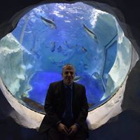 Nikolas Sachinopoulos