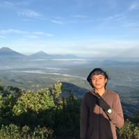Vinsensius Panggih Cristio