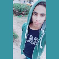 Mohamed Abd Elhafeez