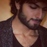 حسني السيباني