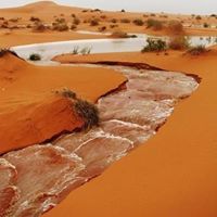 عبدالله محمد