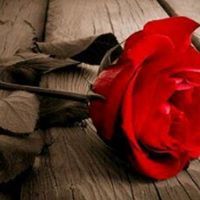 غالي يا وطني