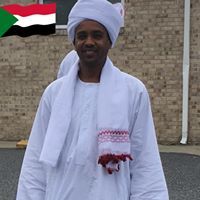 محمود الهادي