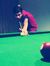 Bhavesh...