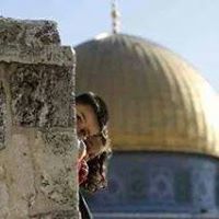Shaimaa Abd-Elhamed