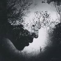 Afnan Thaer