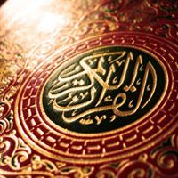 محسن ابو أحمد