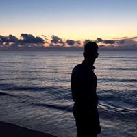 Davids Licis Licitis